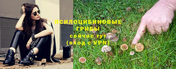 прущий лед Армянск