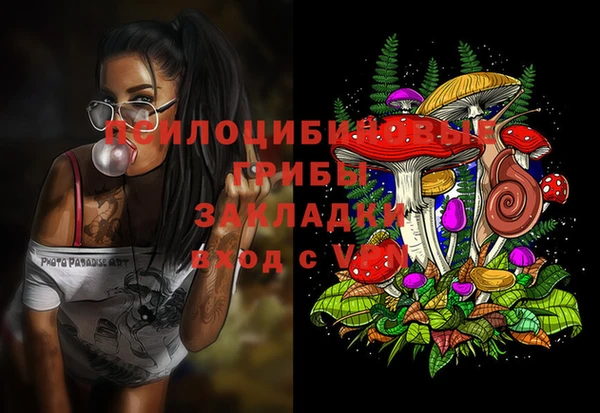 прущий лед Армянск